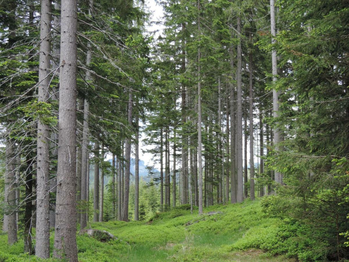 Urlaub Am Bauernhof Grabenhofer *